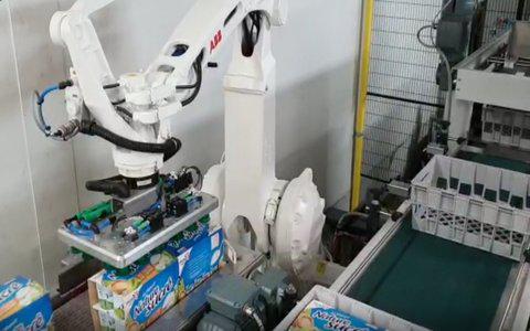 Robotic Case Packer